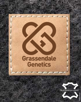 24 Lederlabels | Lederlabel mit Logo | Korkleder Label | Vegane Lederlabels